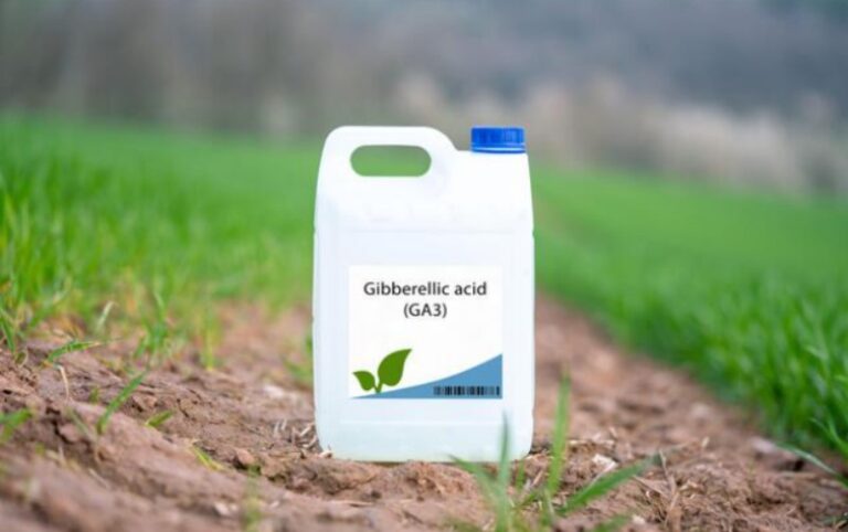 What Is Gibberellic Acid Used For?