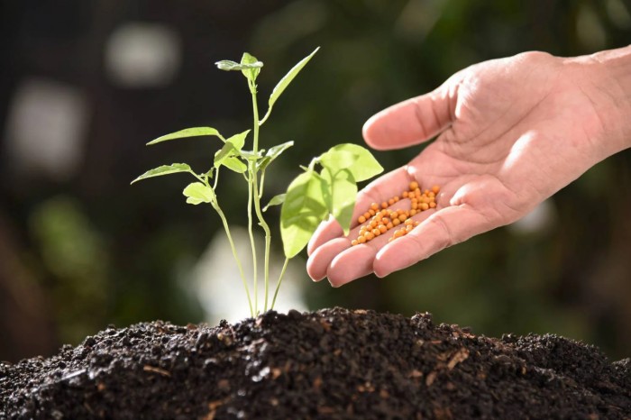 9 Major Effects of “fulvic acid” on Crops
